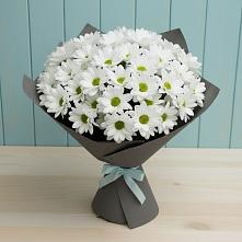 Букет цветов из:  Хризантемы #REPLACE_PRED# Мичурине Республика Дагестан