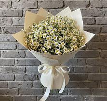 Букет цветов из:  Ромашки #REPLACE_PRED# Мичурине Республика Дагестан