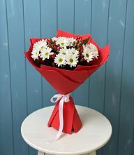 Букет цветов из:  Хризантемы в Мичурине Республика Дагестан