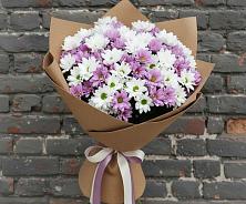 Букет цветов из:  Хризантемы в Мичурине Республика Дагестан