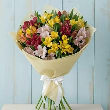 Букет цветов из:  Альстромерии #REPLACE_PRED# Мичурине Республика Дагестан