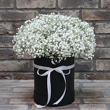 Цветочная композиция из Гипсофила в шляпной коробке в Мичурине Республика Дагестан