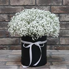 Цветочная композиция из Гипсофила в шляпной коробке в Мичурине Республика Дагестан