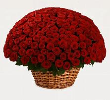 Премиум букет из: Розы в Мичурине Республика Дагестан